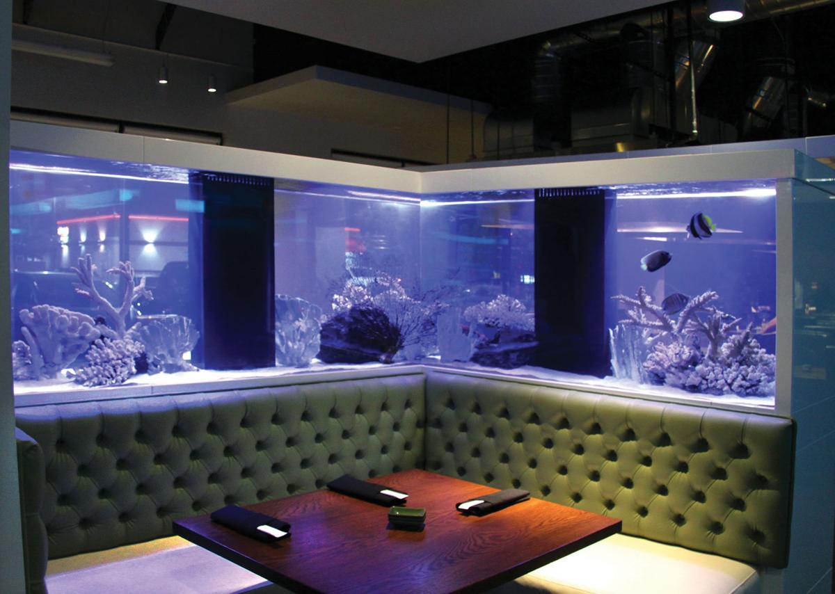 Dining Divas Kan Pai — Sushi Teppan Lounge Bar Bakersfield Life