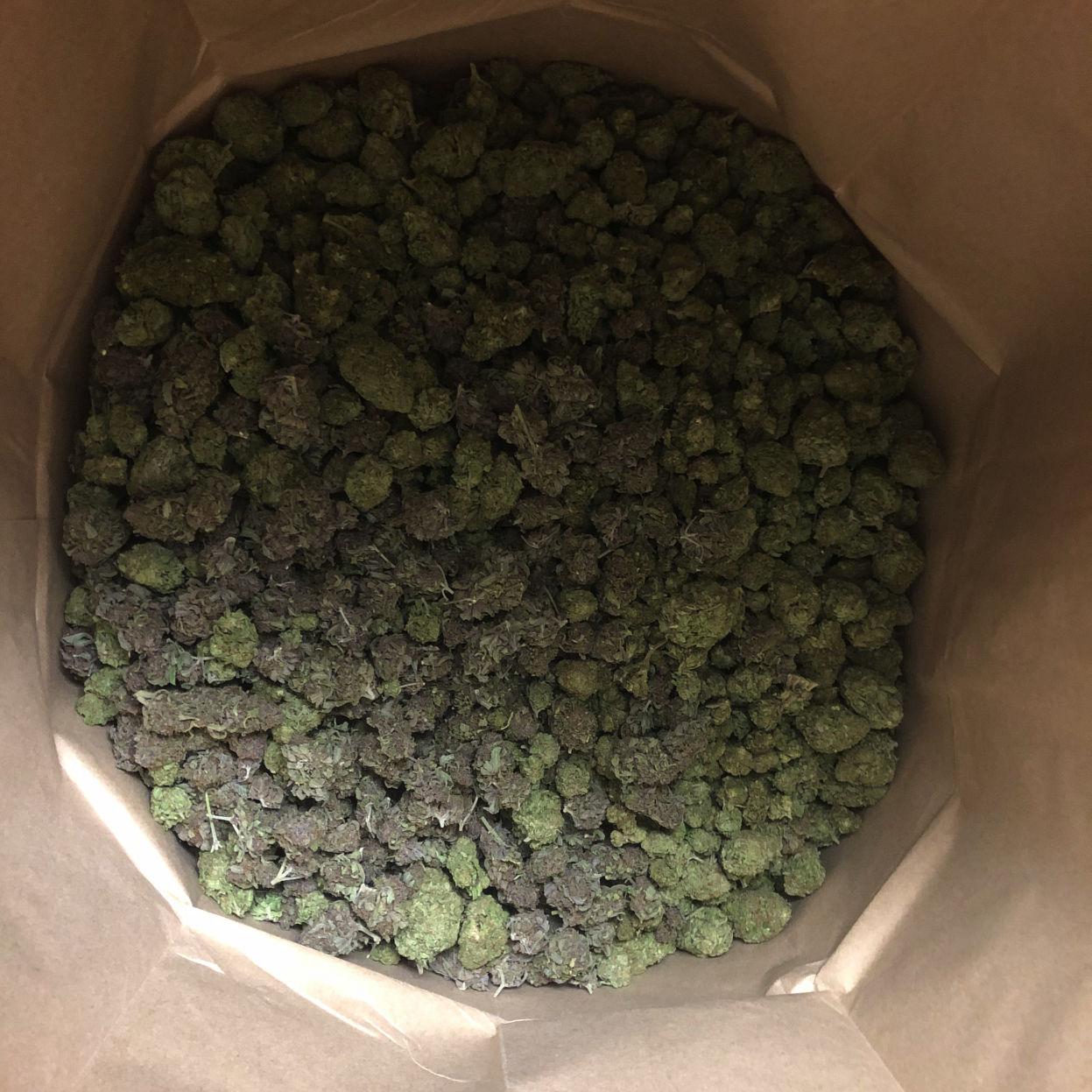 Kcso Arrests Four Following Execution Of Search Warrants On