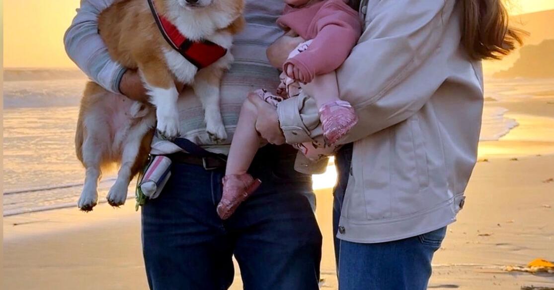 The pets of summer: Oliver Corgington Carter