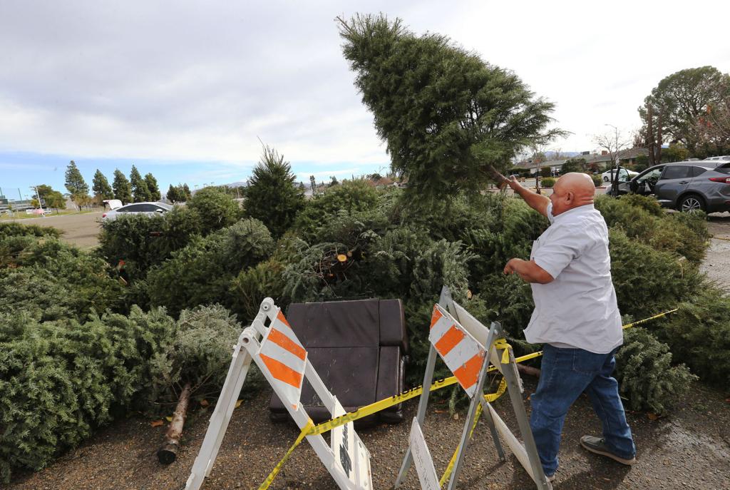 Christmas Tree Recycling Near Me 2022 Bakersfield Ca Photo Gallery: Christmas Tree Recycling Gets Underway In Bakersfield | News  | Bakersfield.com