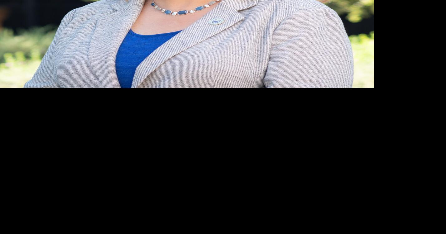 Webinar to give overview of CSUB business accelerator | News ...