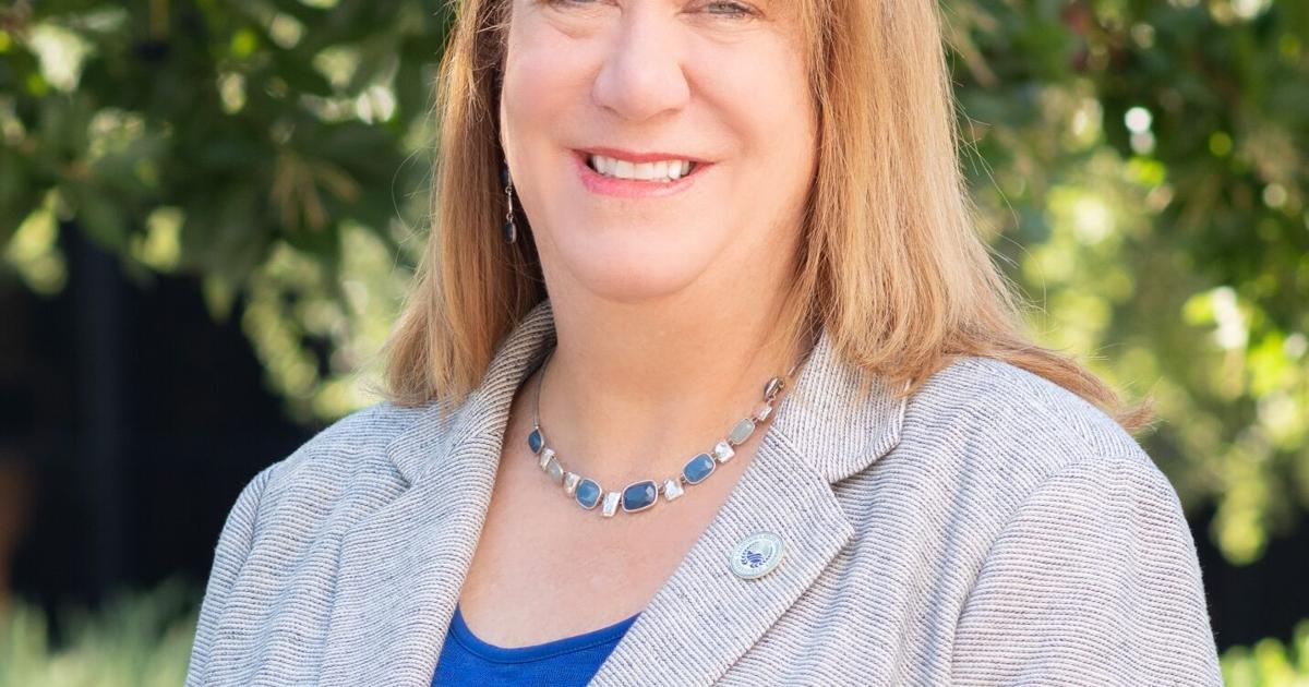 Webinar to give overview of CSUB business accelerator | News ...