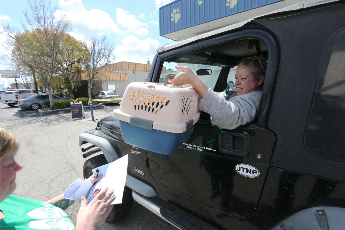 County animal shelter 'floored' by response to foster drivethru News