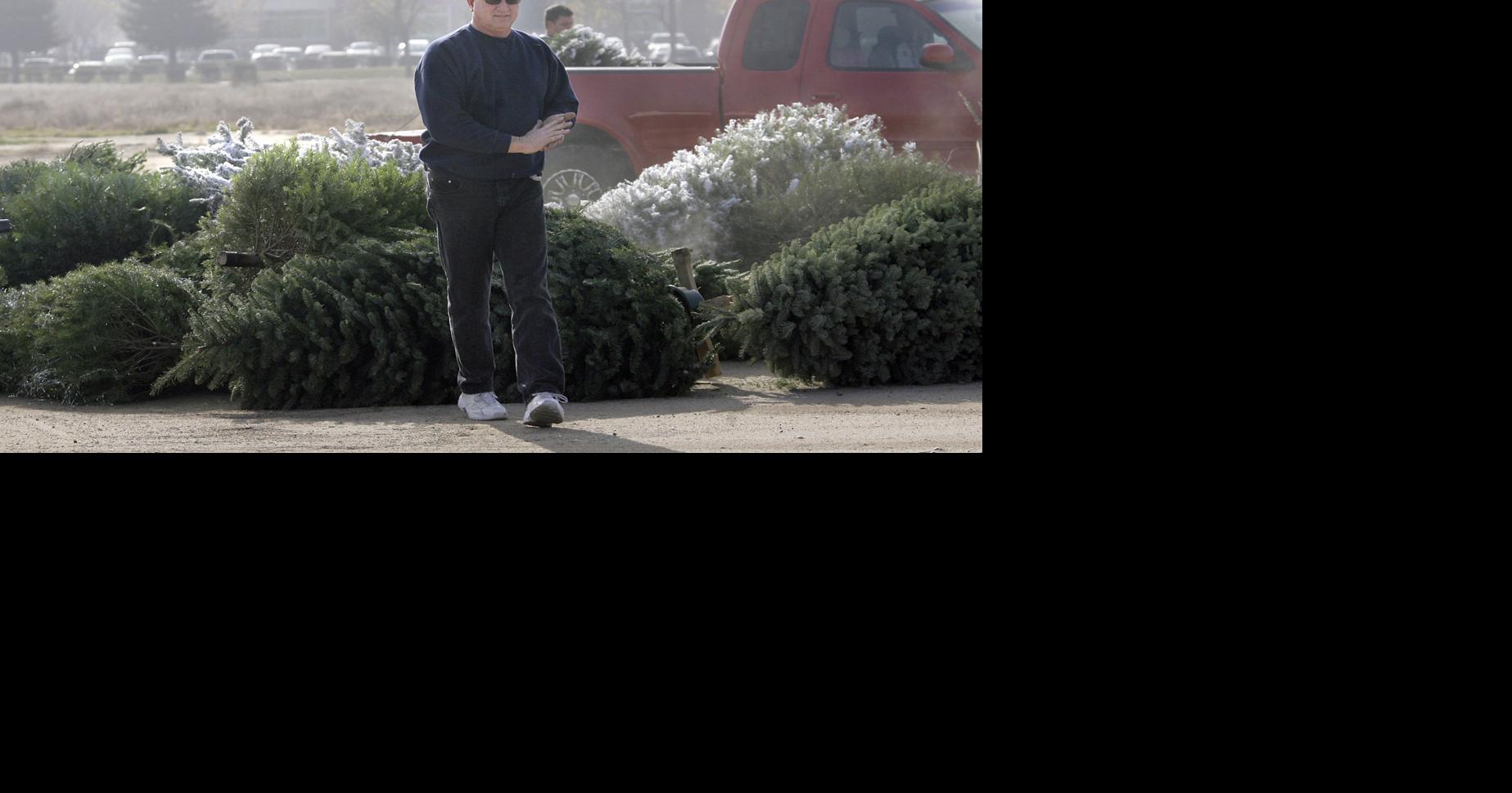 Its time to plan your Christmas tree recycling News