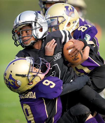 American Youth Football and Cheer - Southwest Region