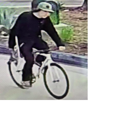 BPD asks for help identifying bicycle thief | News | bakersfield.com