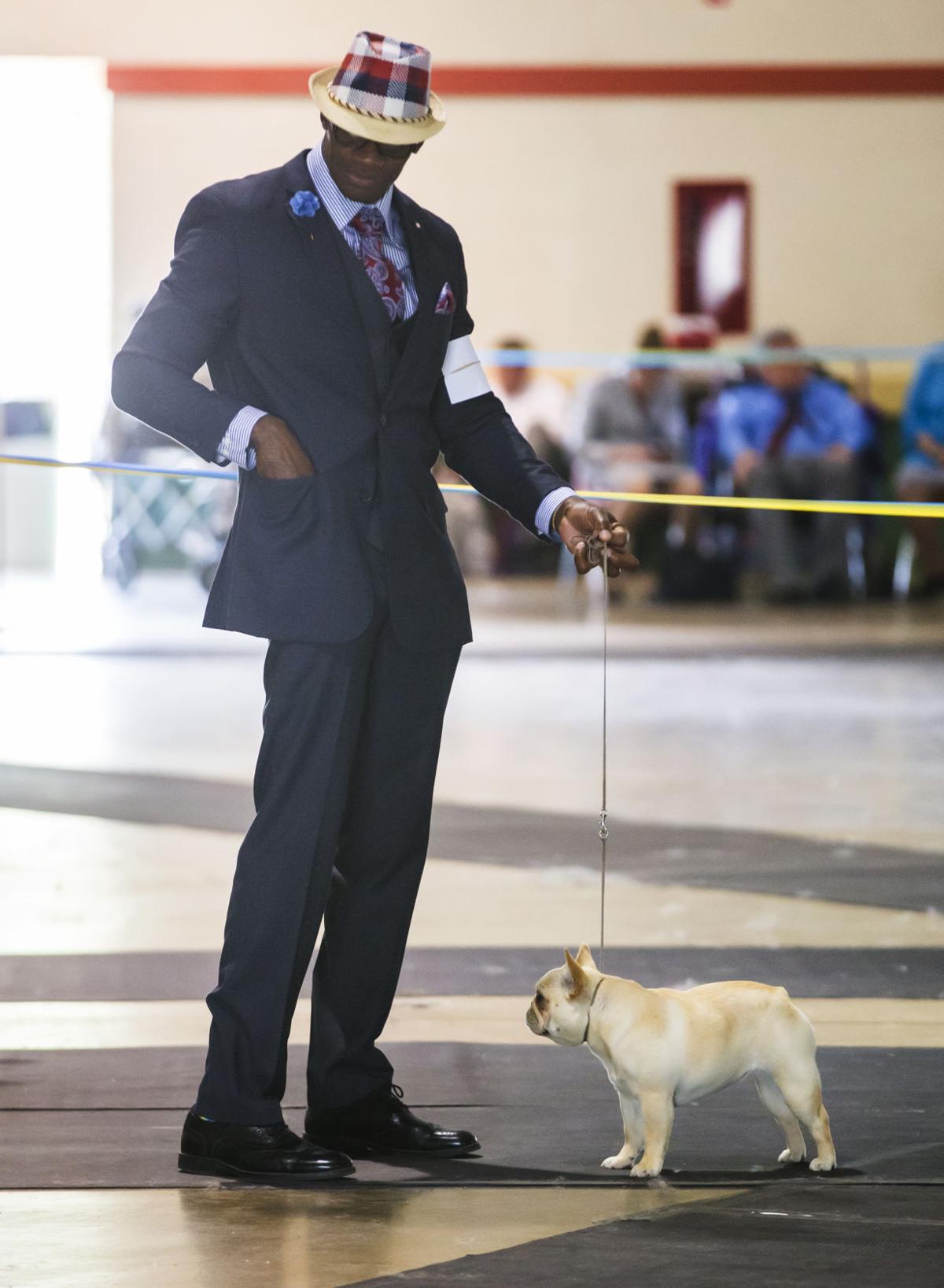 Fairgrounds host Kern County Kennel Club dog show News