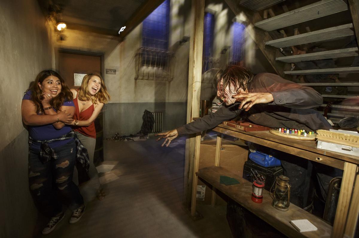 Magical summer fun at Universal Studios Hollywood, beyond