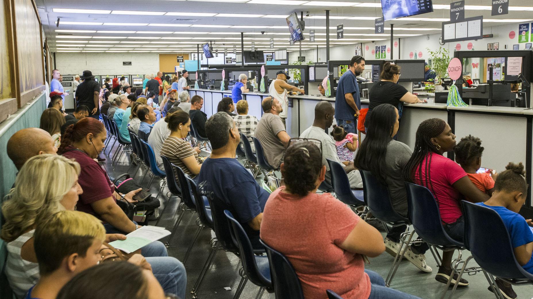 Dmv Seeks 60 Day Hiatus In Enforcement Against Expired Driver