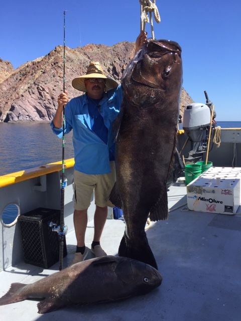 Local angler hauls in monster catch from Sea of Cortez