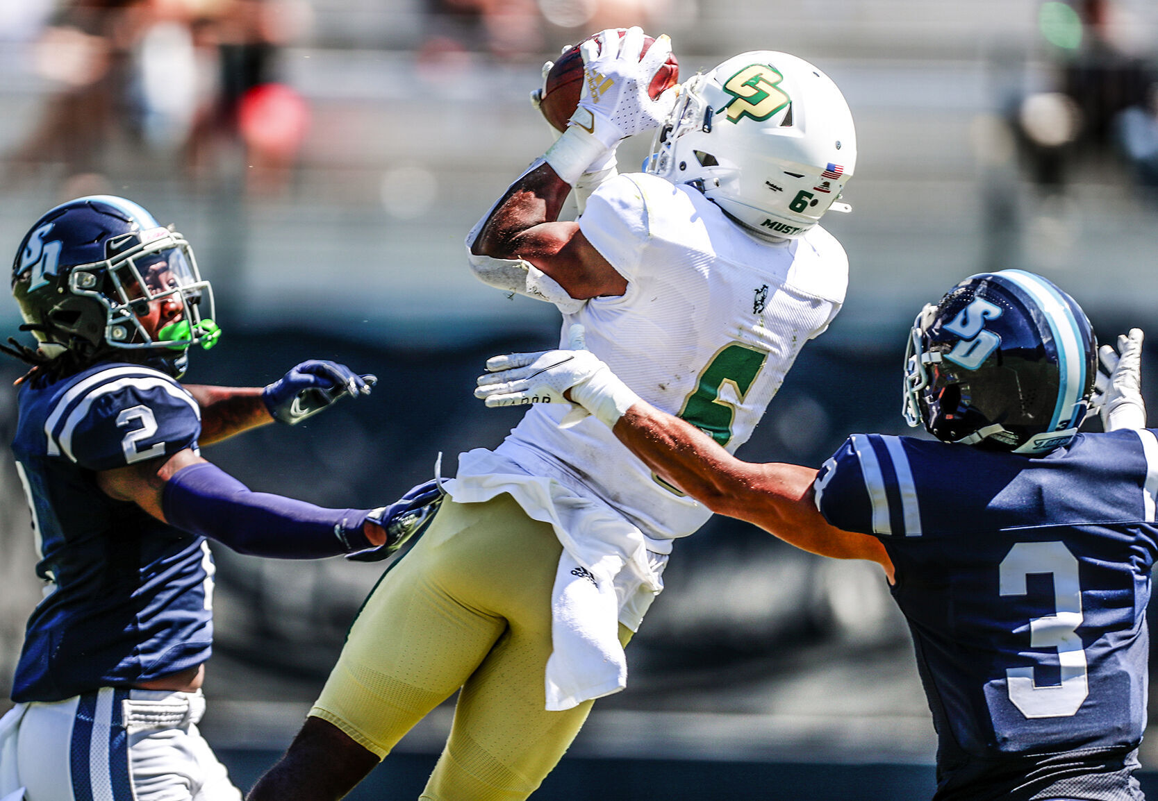 cal poly football helmet