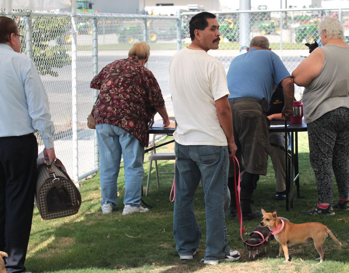 Californian analysis Spayneuter efforts saving lives at