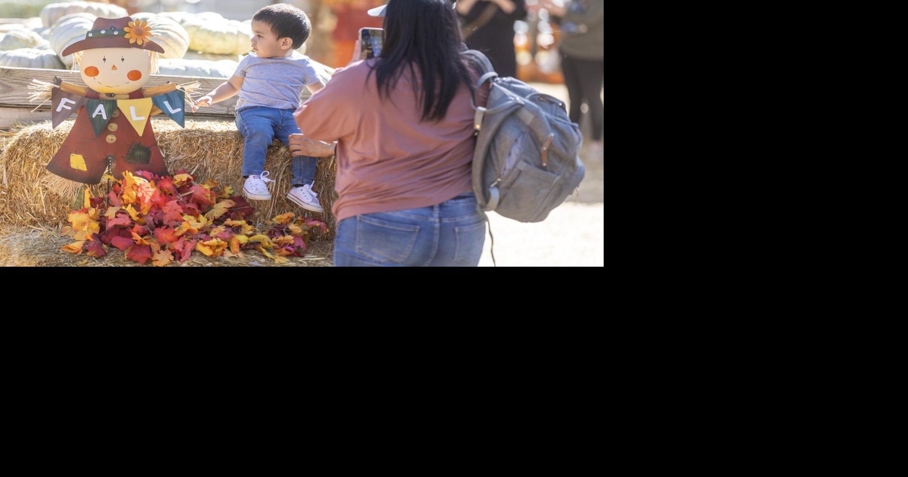 Banducci's Family Pumpkin Patch not just about pumpkins, it's about