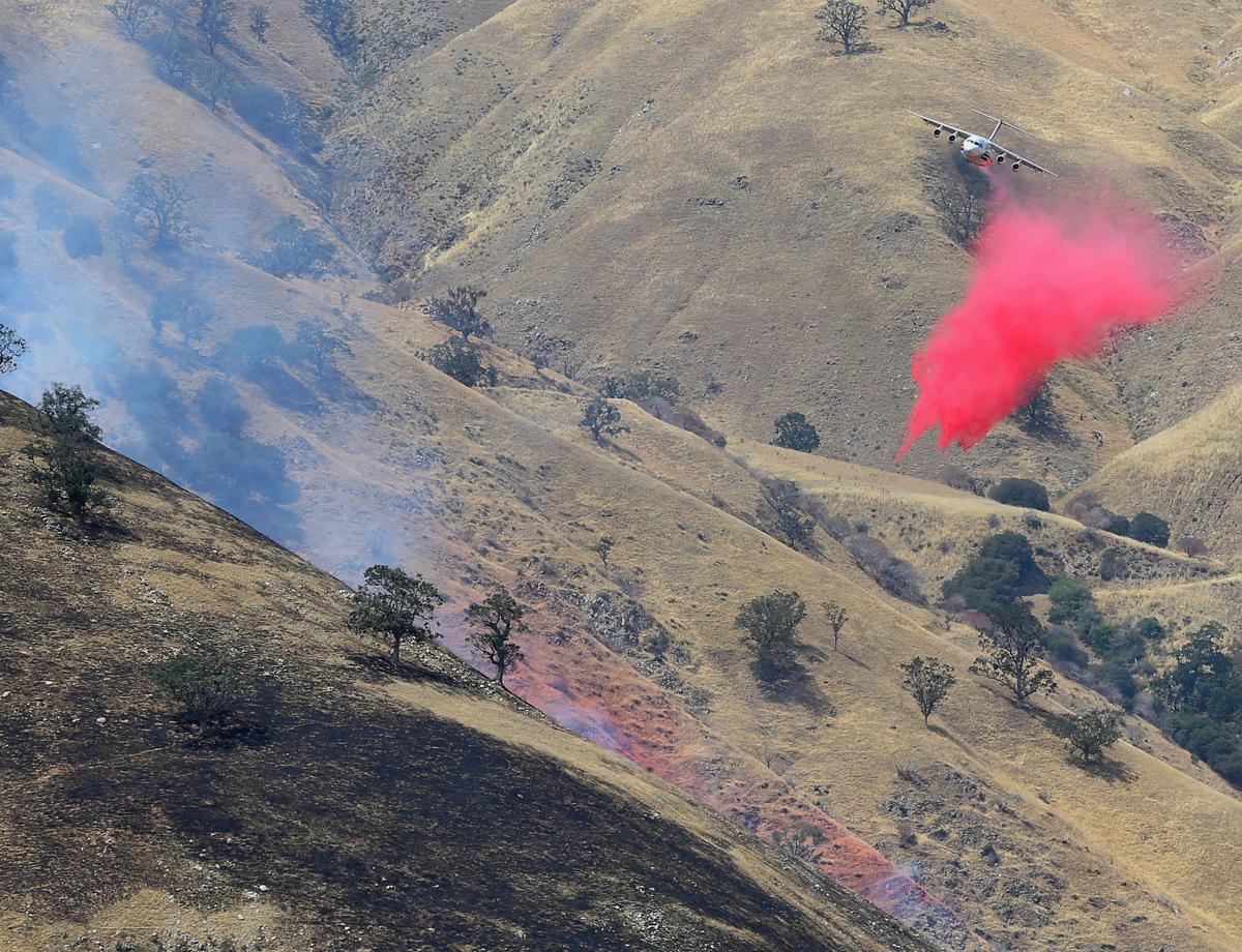 Firefighters knock down brush fire near Lebec Archives