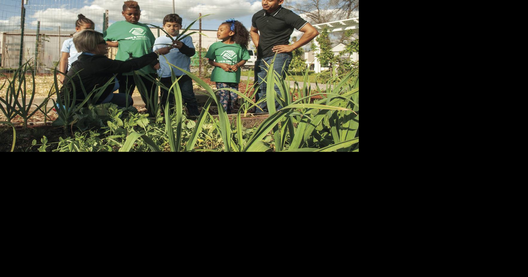 Nutrition education program teaches kids how to grow own food, eat