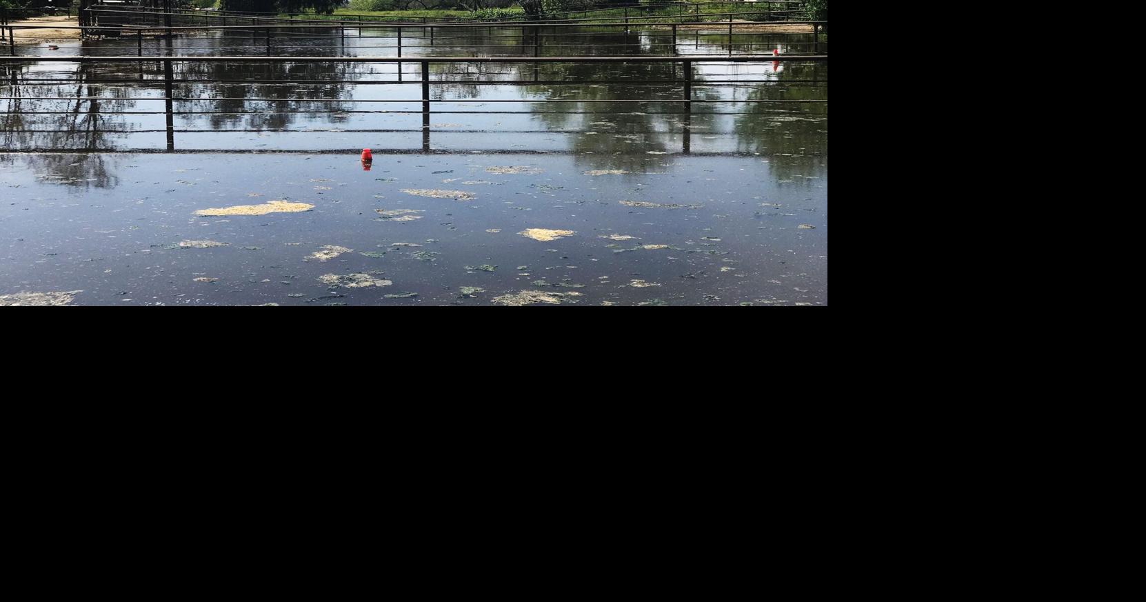 As Kern River rises, early flooding appears at Robertson Stables near