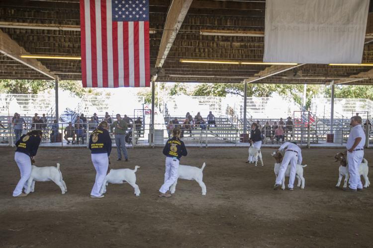 Kern County Fair returns with thrills, treats and fun Bakersfield