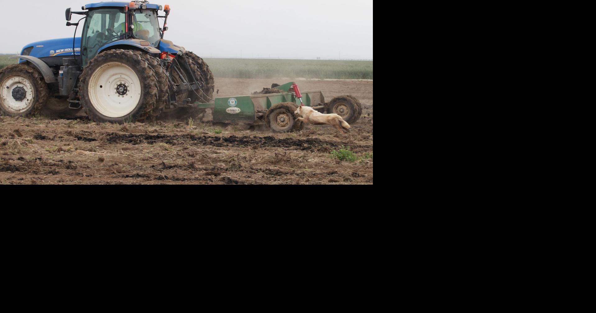 Survey indicates diesel prices straining Californian farming operations