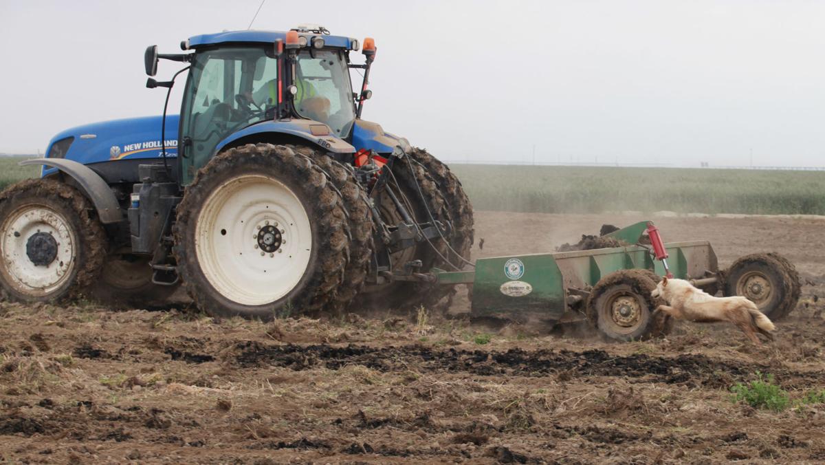 Kern County Loses In Critical Sewage Sludge Ruling News Bakersfield Com