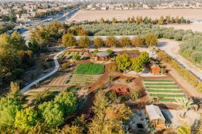 Aerial Edible Schoolyard Kern County