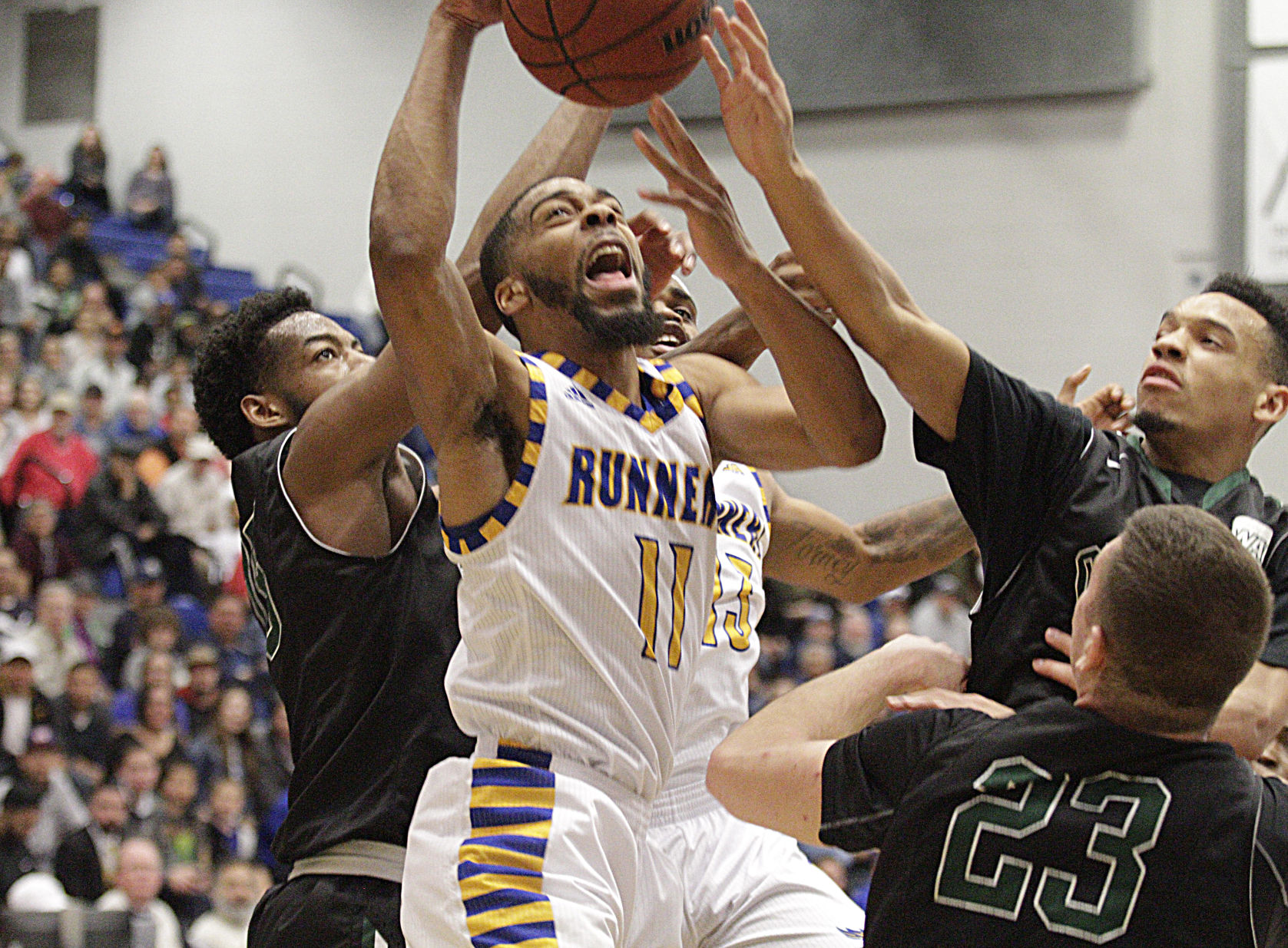 csub basketball roster