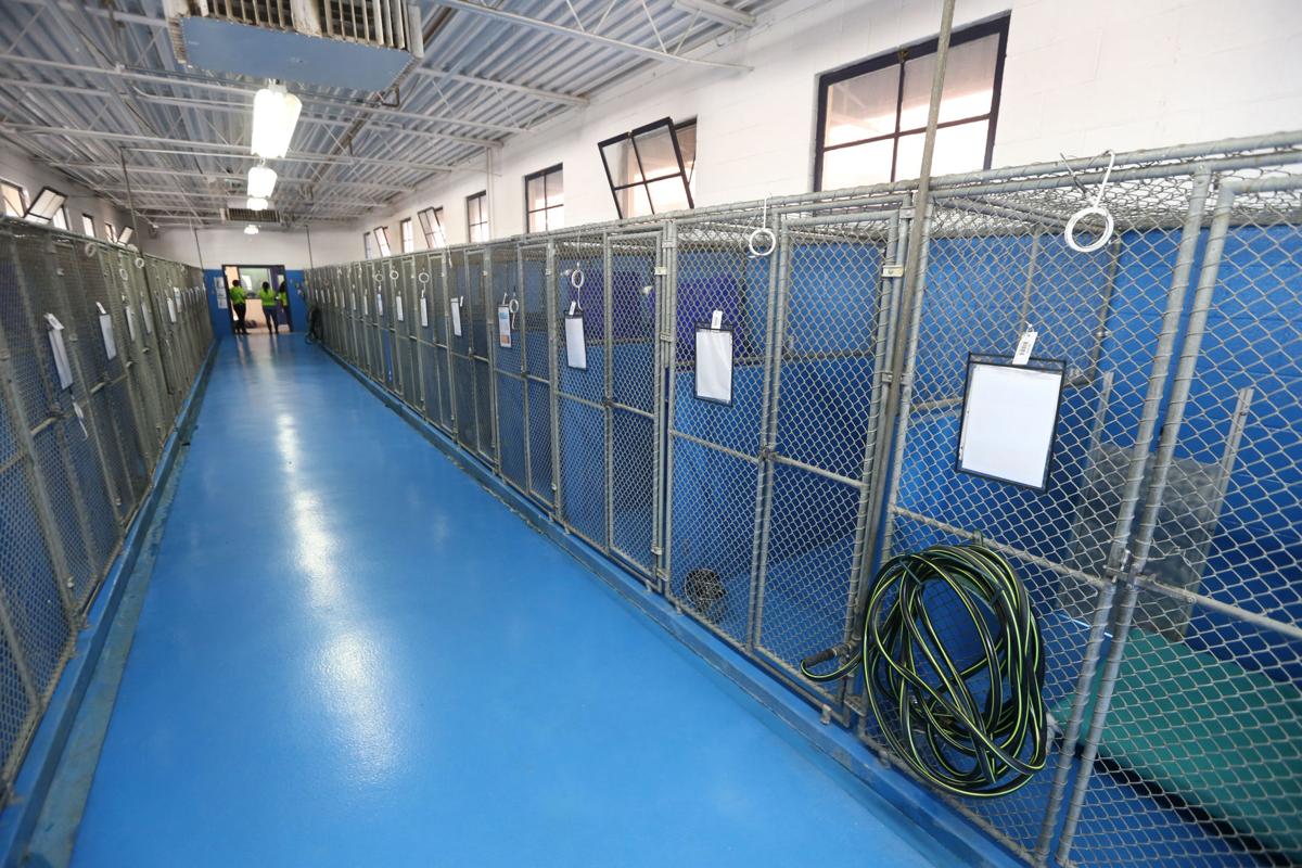 'Clear the Shelters' lives up to its name at pet adoption event in