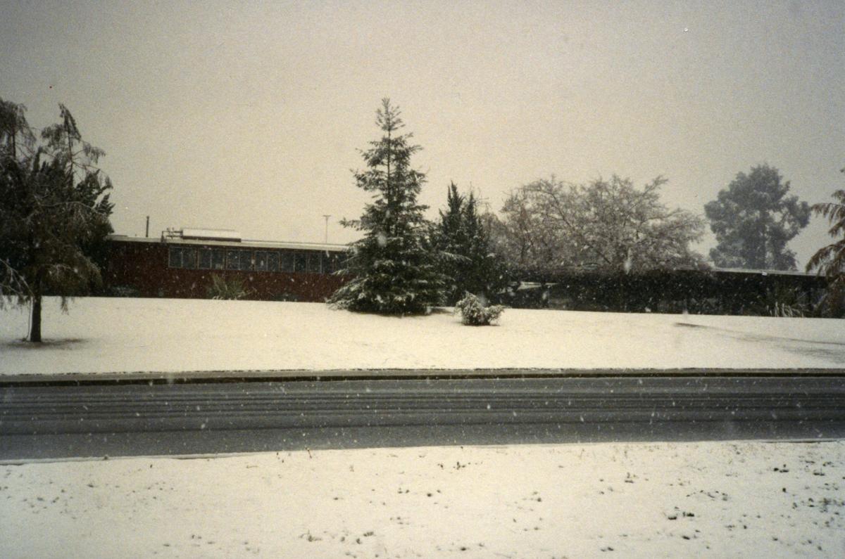 PHOTO GALLERY Looking back at Bakersfield's snow day Multimedia