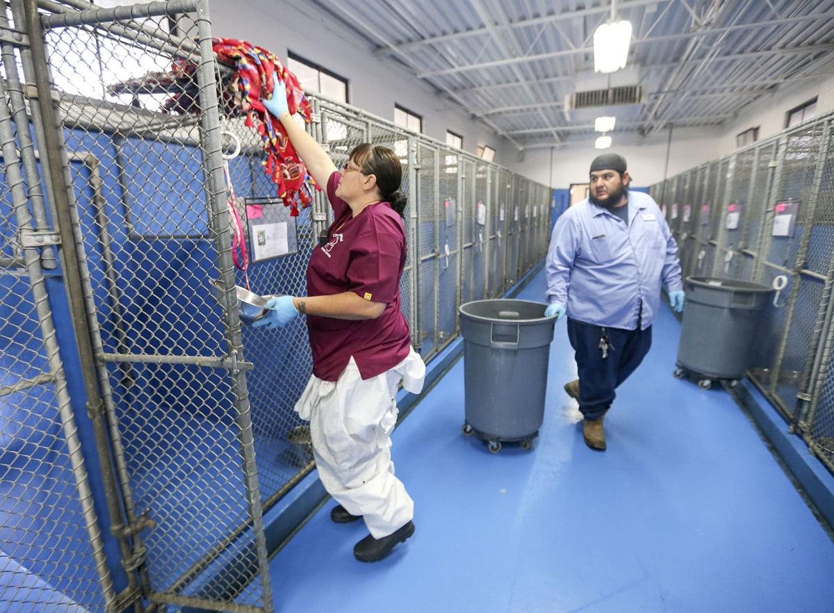 ROUND OF APAWS Shelter intake, euthanization way down News