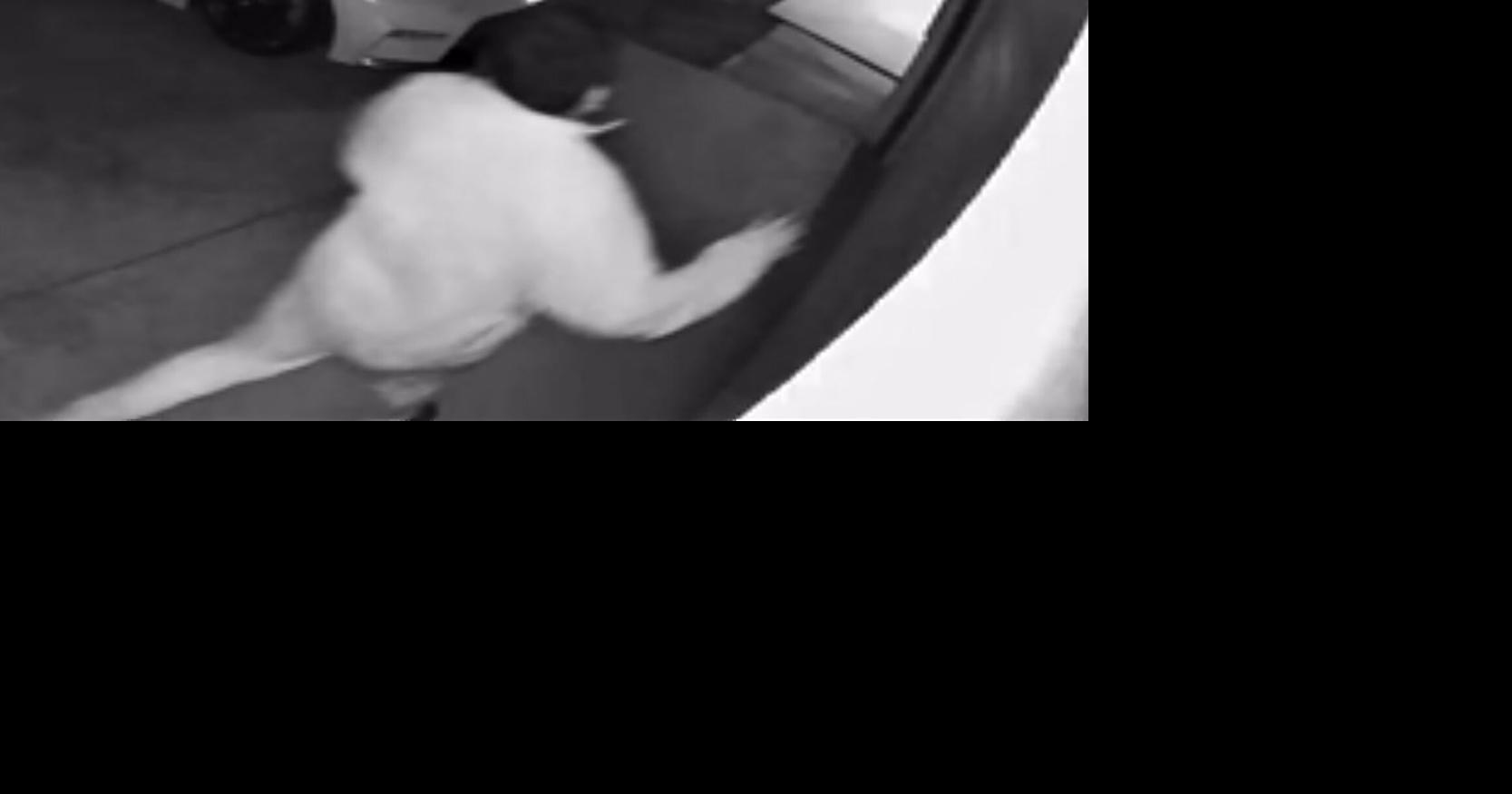 JOSE GASPAR Neighbors on edge after major bust of human trafficking