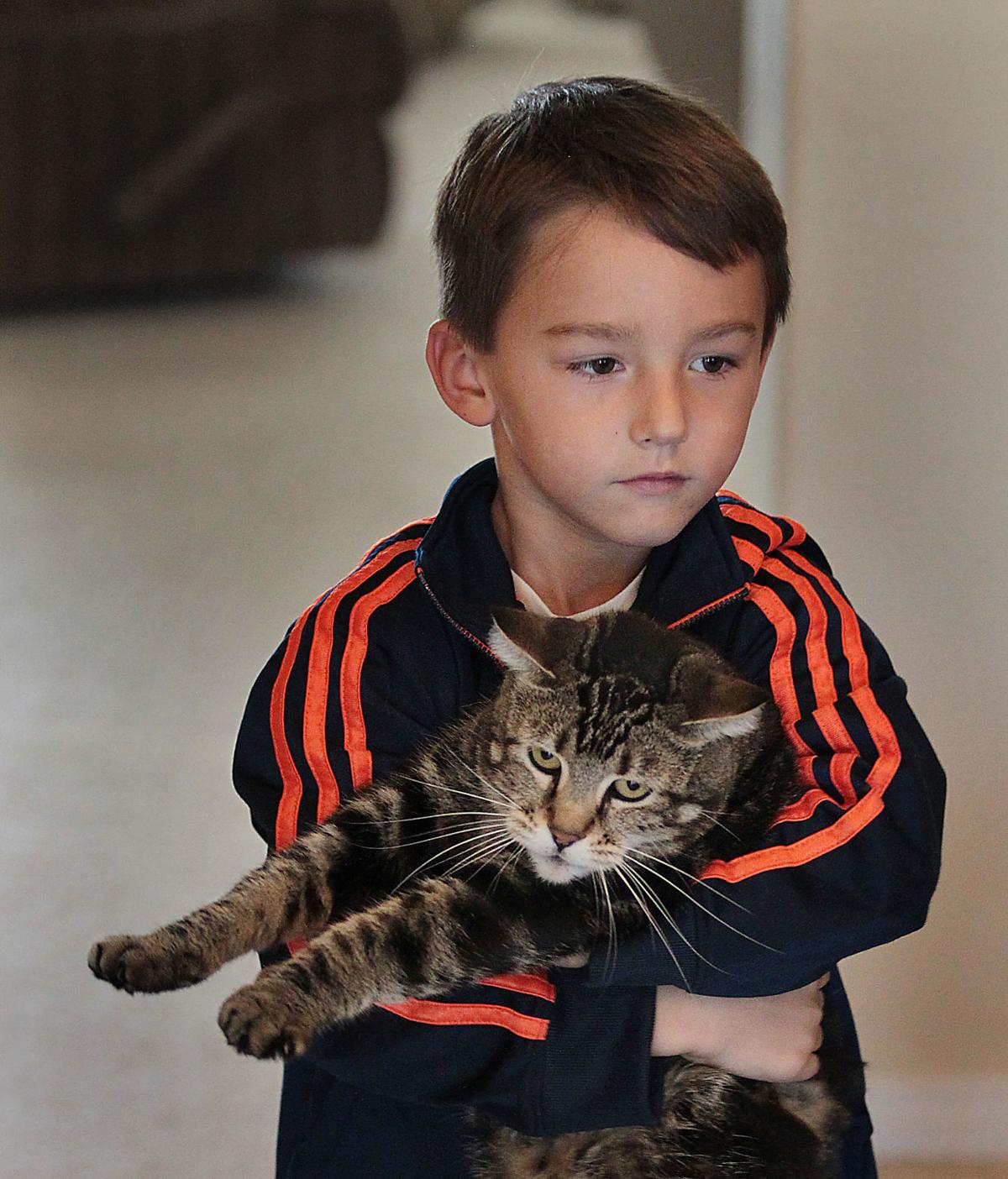 Tara The Hero Cat To Appear On My Cat From Heaven Segment