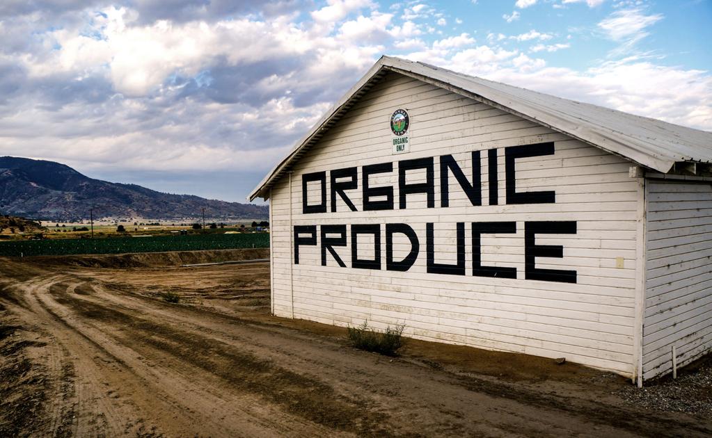 THE DISH Grimmway Farms organic market opens for season Food