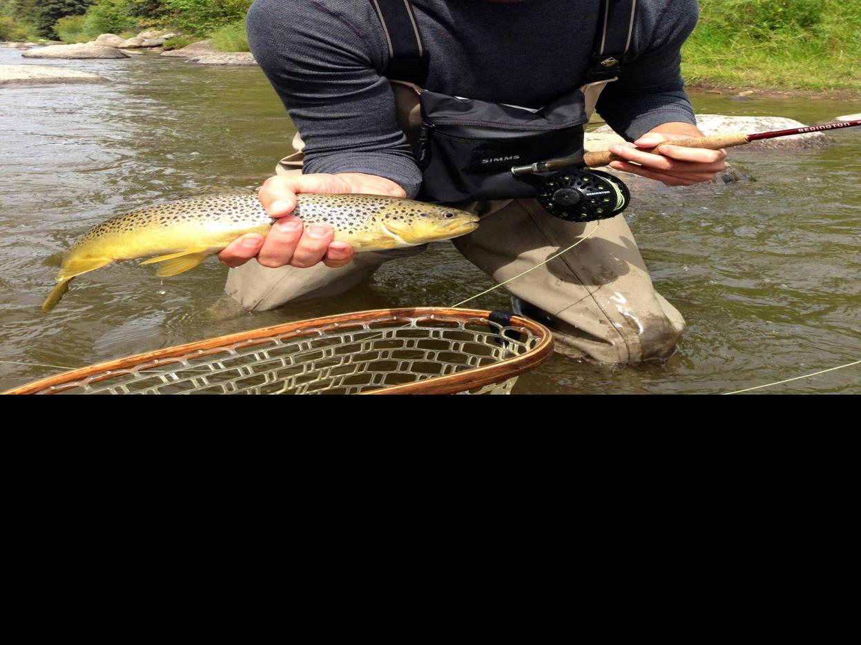 Nov 15 Fish Report Sports Bakersfield Com
