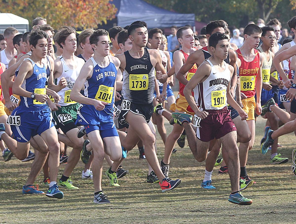 PHOTO GALLERY Medrano And Gaxiola Medal In The CIF State Cross Country