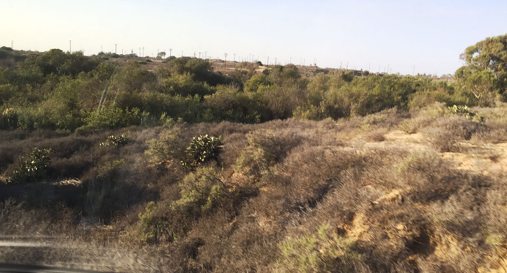 Bakersfield local news