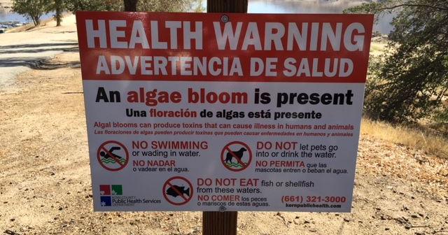 Public Health: Use caution as potentially harmful algae detected in Isabella Lake - Vimarsana News