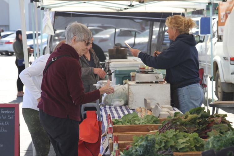 Finding the best of fresh groceries at farmers markets Bakersfield