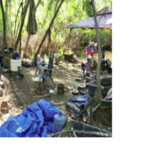 BPD clears out 7 more encampments