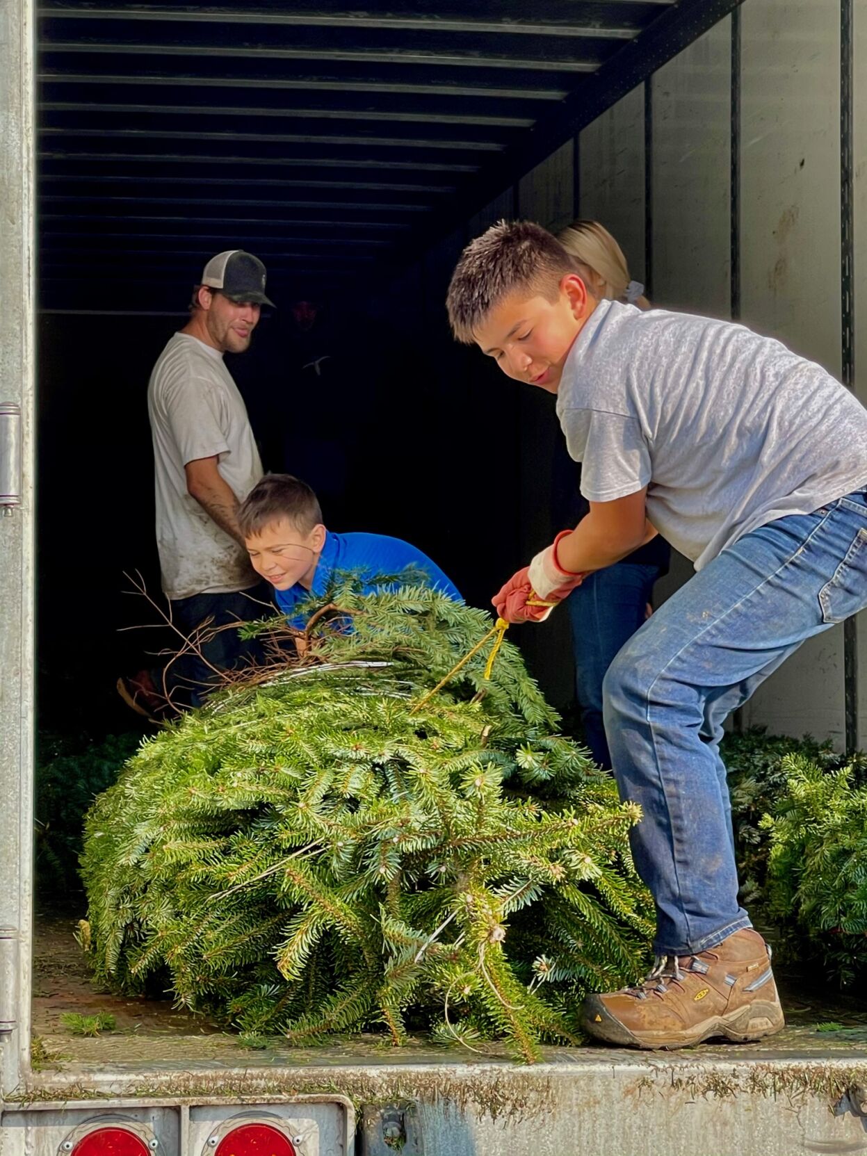 Search for the perfect Christmas tree is a family tradition