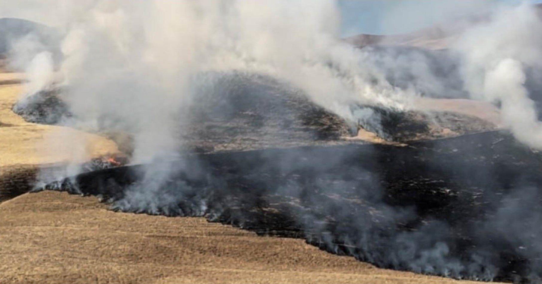 Man arrested on suspicion of arson in Tejon Ranch - Vimarsana News