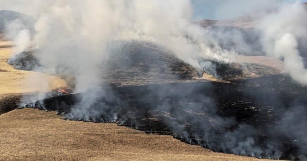 Tejon Ranch fire swallows 121 acres | News | bakersfield.com