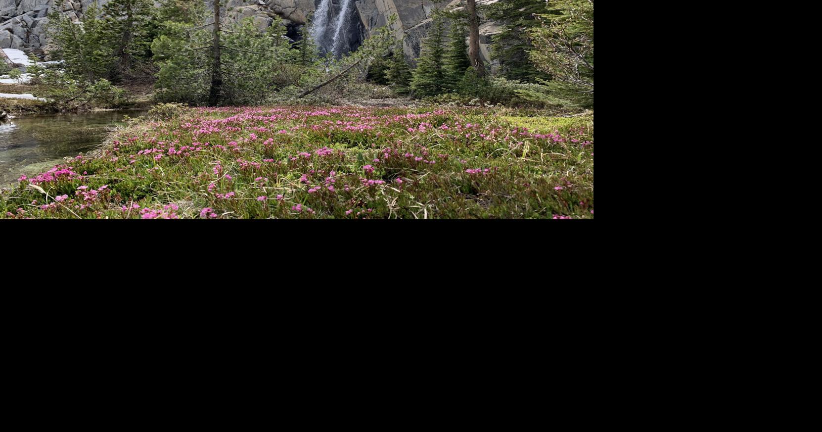 VALERIE SCHULTZ: Chase every waterfall | Valerie Schultz | bakersfield.com