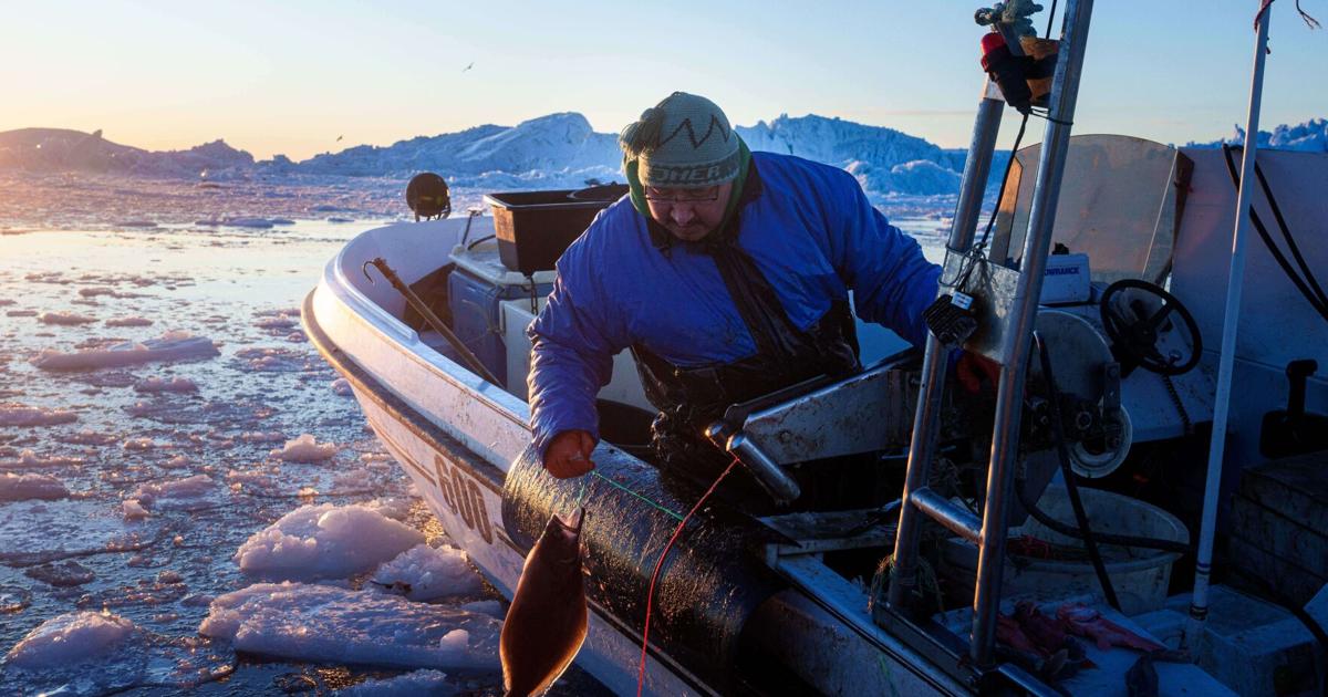 'It's too warm': Greenland's fishermen are under threat from climate ...