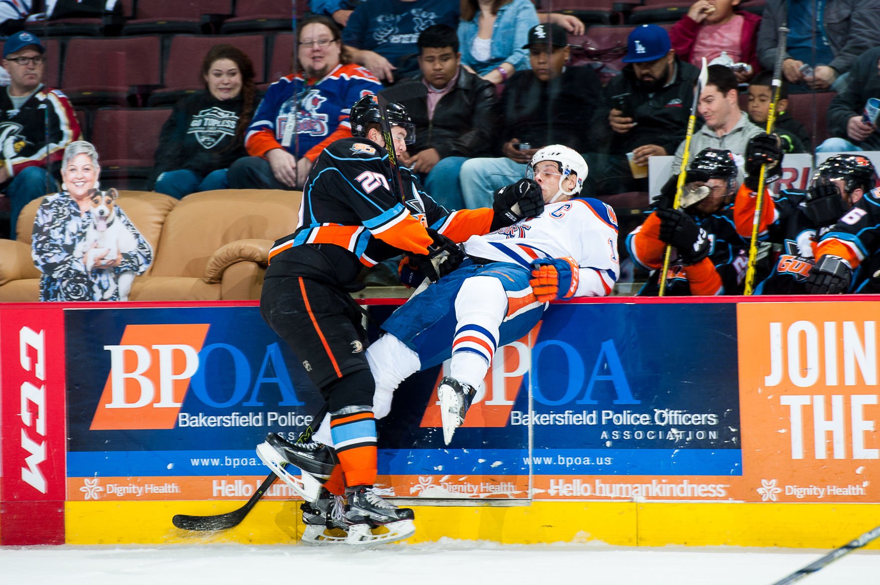 Scrivens Stops 31 Shots For First Win As Condors Blank San Diego 3-0 ...