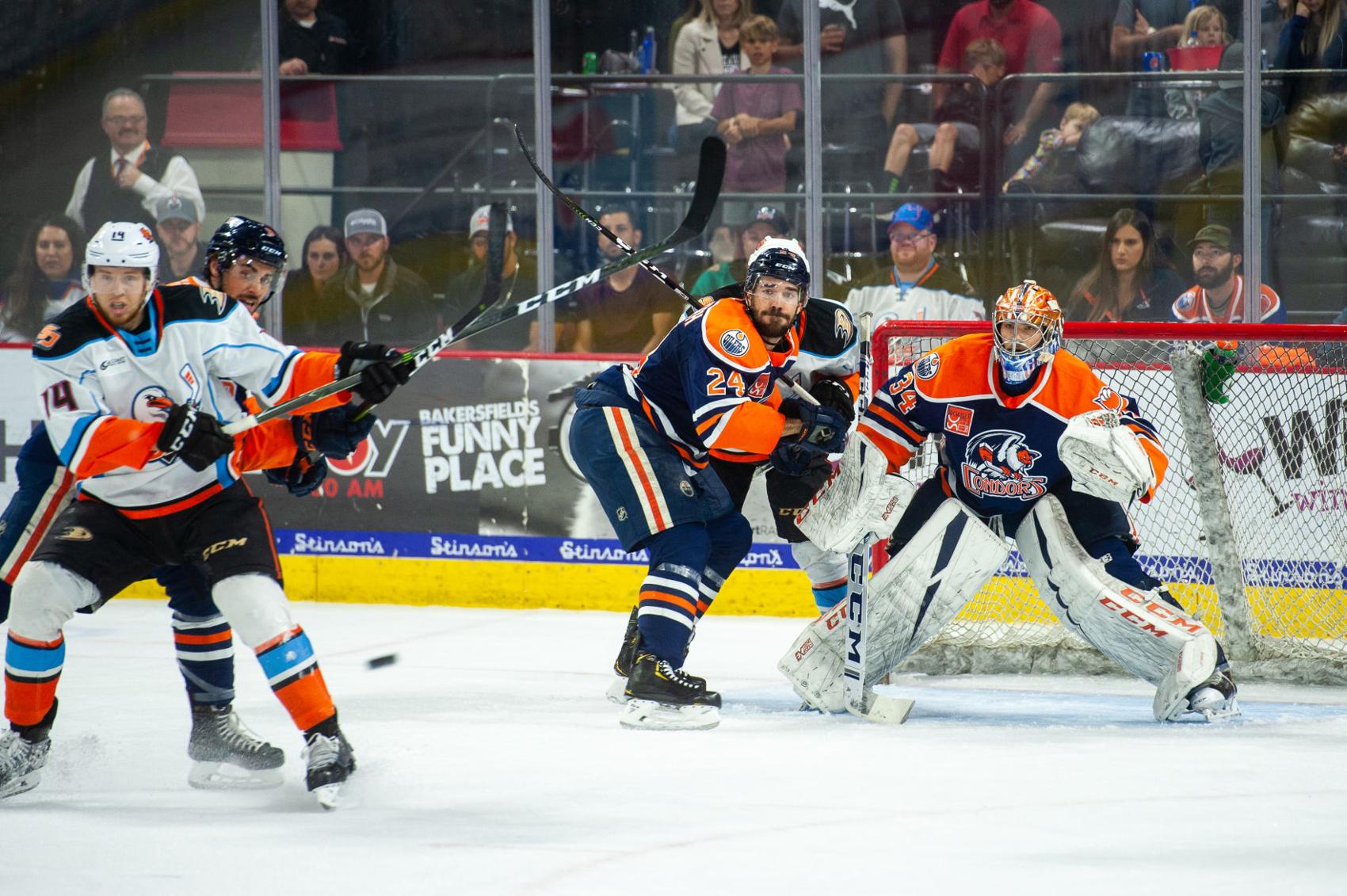 Condors