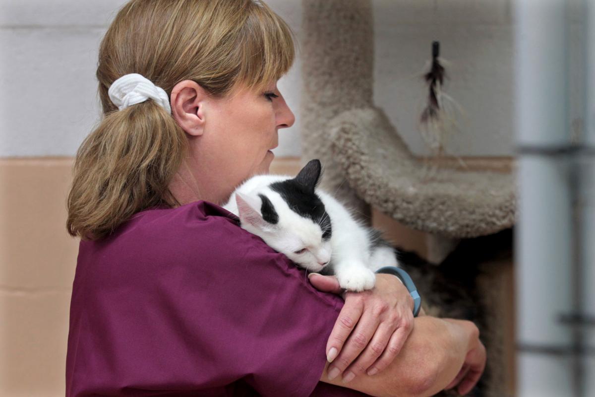 City of Bakersfield Animal Care Center Photo Gallery