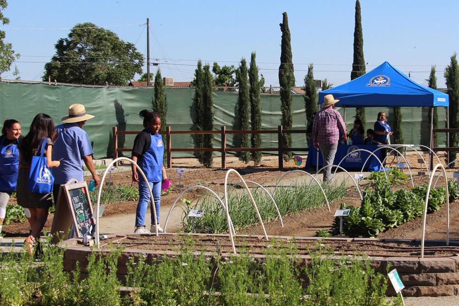 McKinley School Agriculture Academy to host first farmers market on