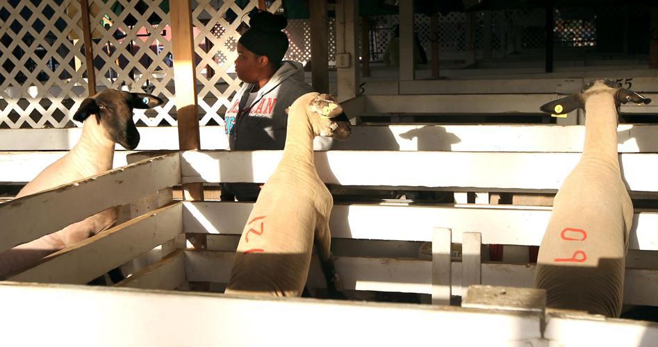 Who’s Buyer No. 9? Kern County Fair