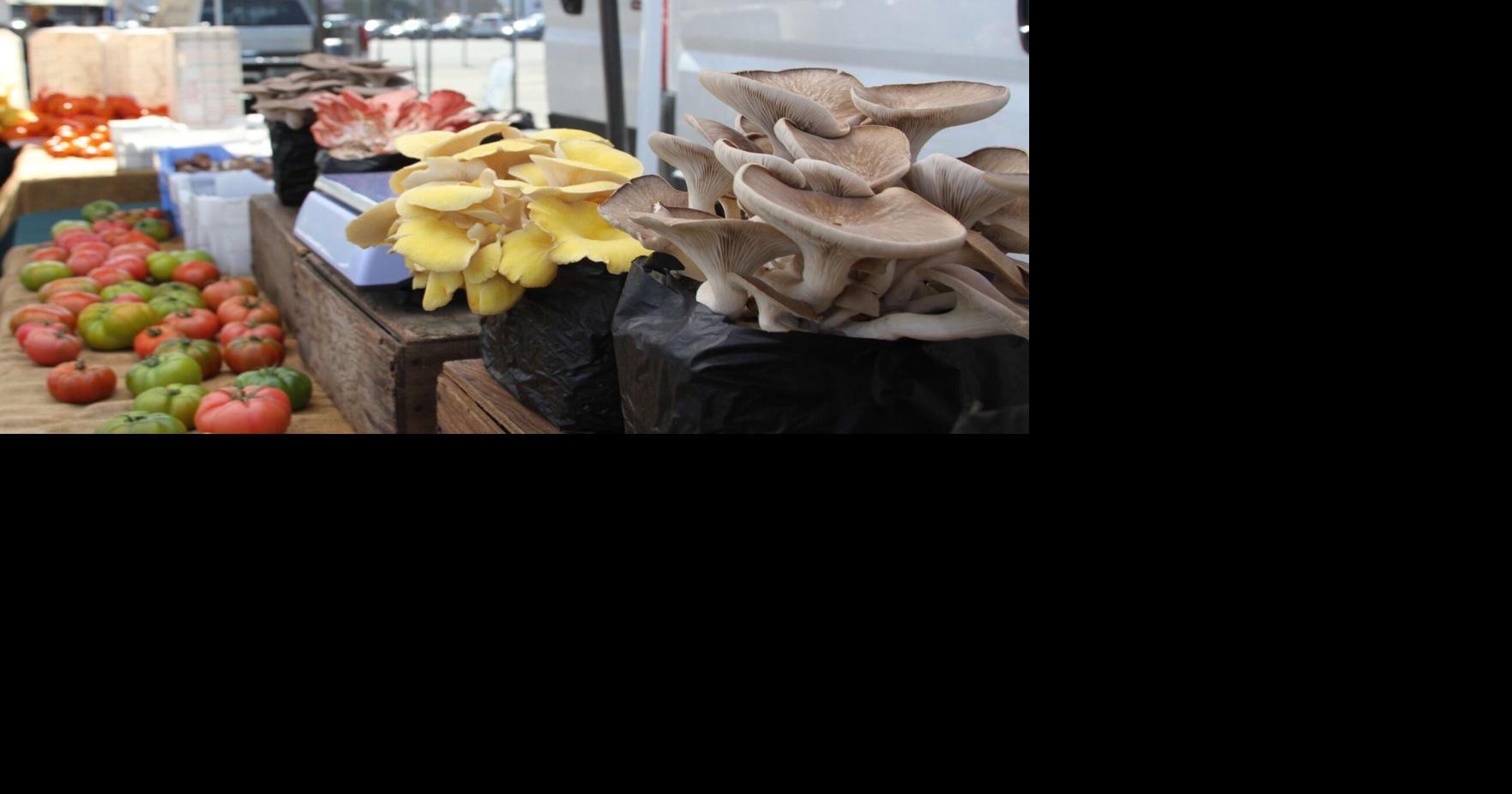 What's cooking: Thrive in golden years with plant-based eating