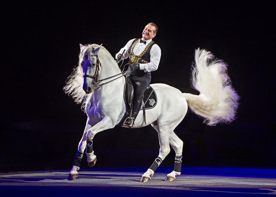 Gala of Royal Horses gallops into Bakersfield Entertainment