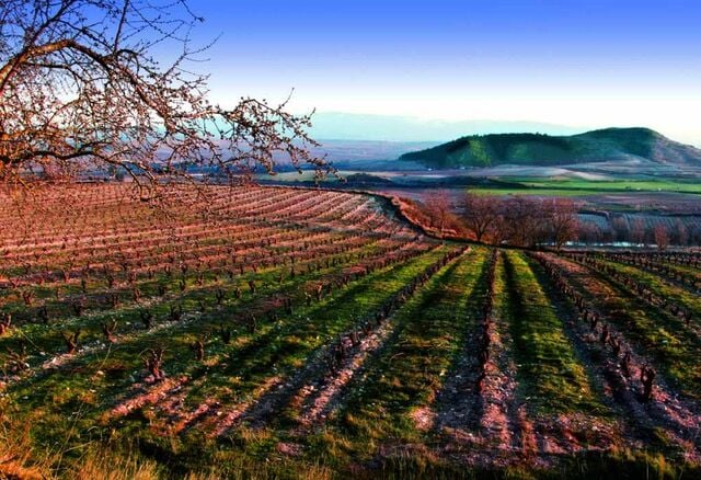 bakersfield.com - Lyle W. Norton - Sip & Swirl: A trend toward more affordable wines